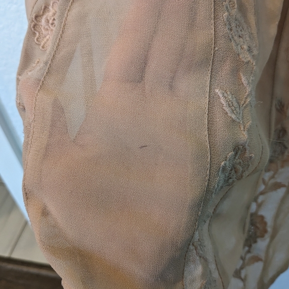 Vintage Style Sheer Blouse - Picture 2 of 3